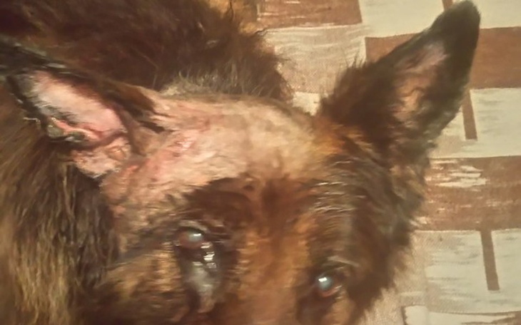 Zbiórka Operacyjne i poperacyjne leczeni - zdjęcie główne