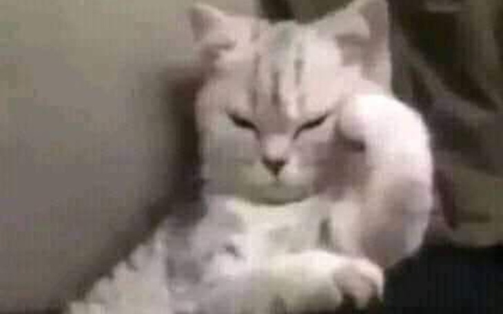 Zbiórka pociąg do Wwa - zdjęcie główne