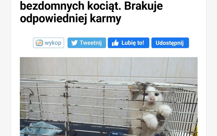 Zbiórka Pomóżmy zwierzakom z Opolskiego - zdjęcie główne