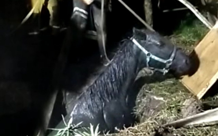 Zbiórka Walczę, by wydostać się z szamba - zdjęcie główne