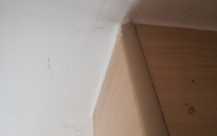 Kąt w pomieszczeniu z widocznymi pajęczynami w rogu.