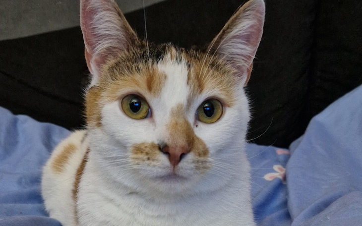 Zbiórka Piśka chce wygrać z chorobq - zdjęcie główne