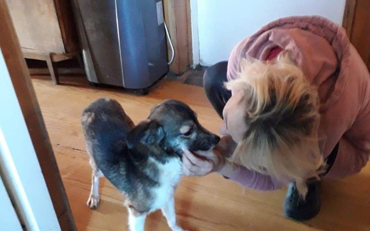 Zbiórka Świąteczna zbiórka fundacji - zdjęcie główne