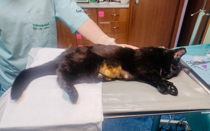 Zbiórka Błagamy o pomoc w trudnym czasie - zdjęcie główne