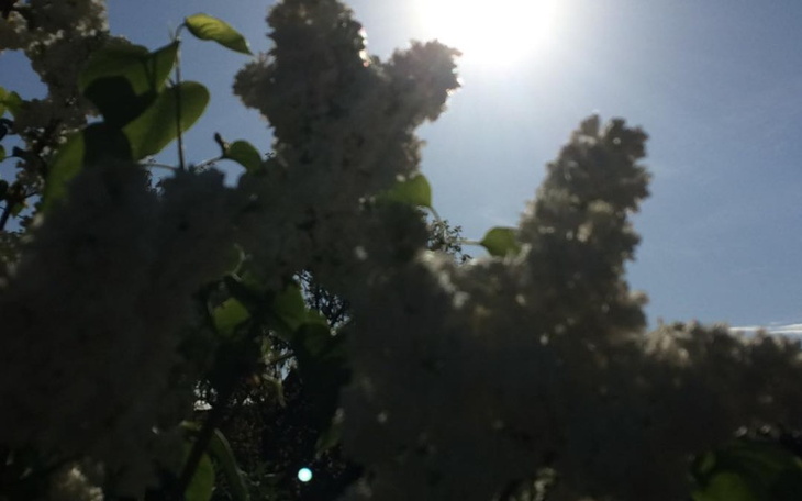 Zbiórka w końcu mi się uda - zdjęcie główne