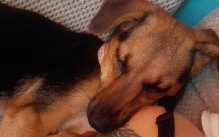 Zbiórka Operacja wątroby Tosi - zdjęcie główne