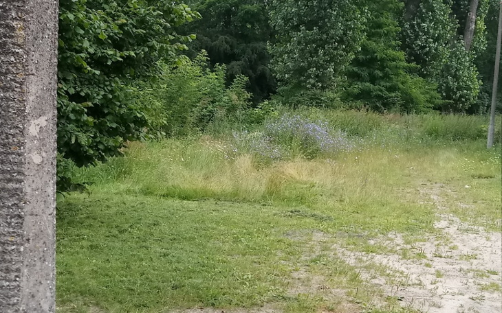 Zbiórka Domek wedkarski nad rzeka - zdjęcie główne