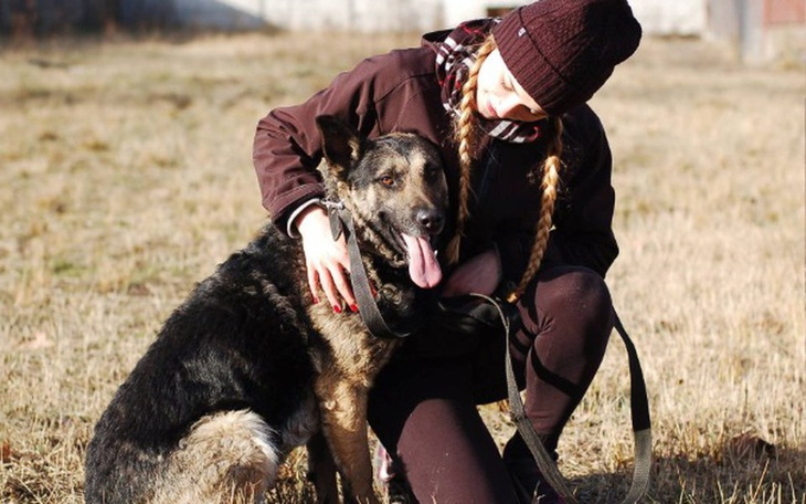 Zbiórka na święta dla bezdomnych psiaków - zdjęcie główne