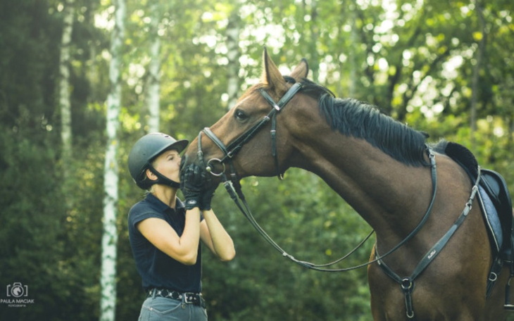 Zbiórka Koń moje największe marzenie - zdjęcie główne