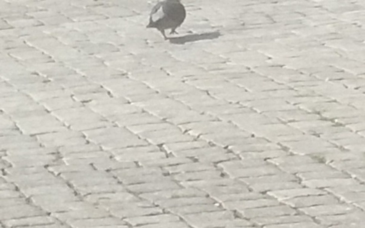 Zbiórka Prezent dla domu dziecka - zdjęcie główne