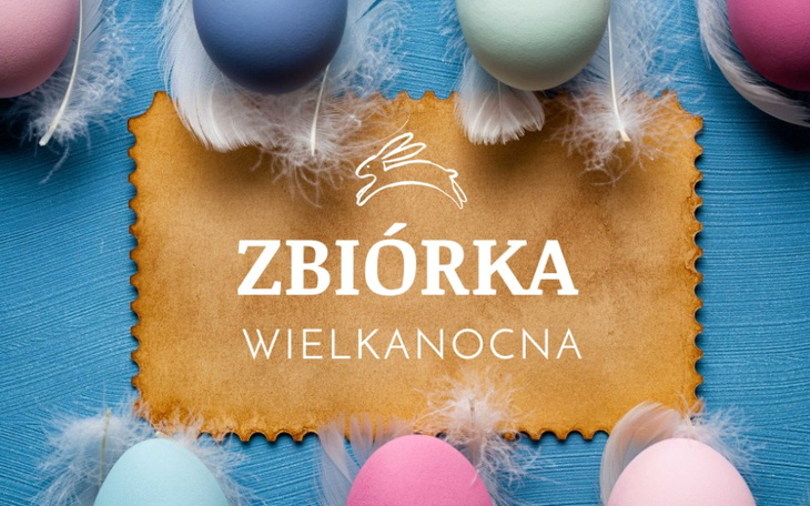 Zbiórka Zbiórka Żywności - Pomóc Więcej - zdjęcie główne