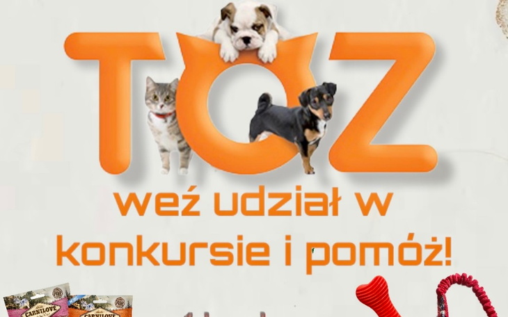 Zbiórka zbieramy dla TOZ Wrocław - zdjęcie główne