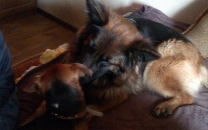 Zbiórka Na odpoczynek - zdjęcie główne