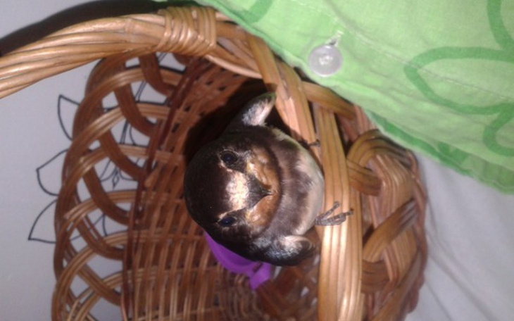 Zbiórka Życie w długach - zdjęcie główne