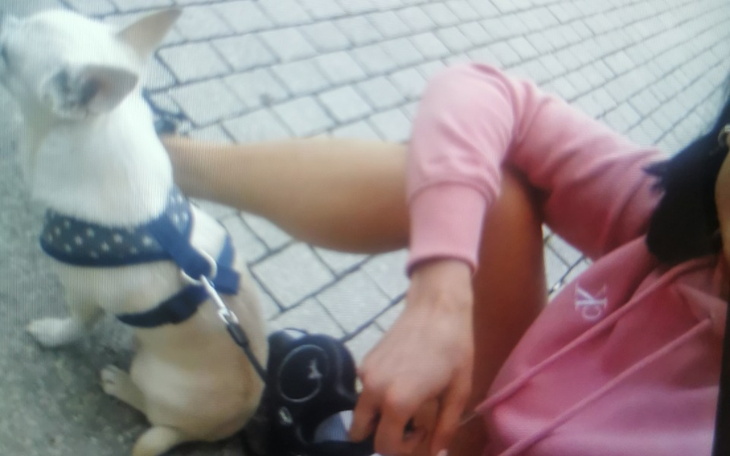 Zbiórka Mały pokoik - zdjęcie główne