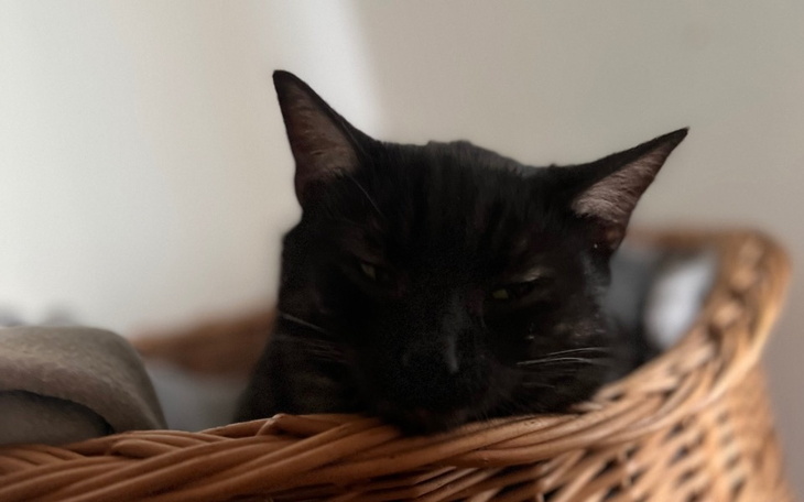 Zbiórka Meteorek potrzebuje pomocy - zdjęcie główne