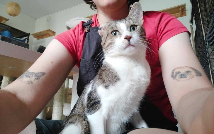 Zbiórka Urodzinowa zbiórka na kotki - zdjęcie główne