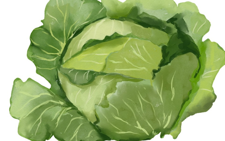 Zbiórka Kapusta dla Świnek - zdjęcie główne