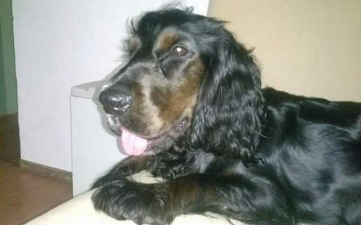 Zbiórka Życie bez bólu dla Sisi - zdjęcie główne