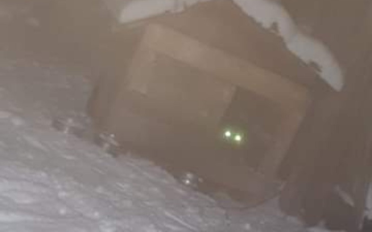 Zbiórka Nowy Rok i nowe wyzwania - zdjęcie główne