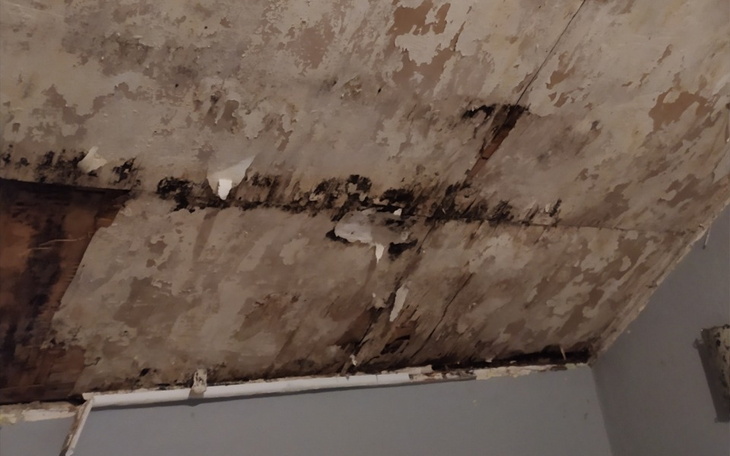 Zbiórka Na usunięcie grzyba i remont - zdjęcie główne