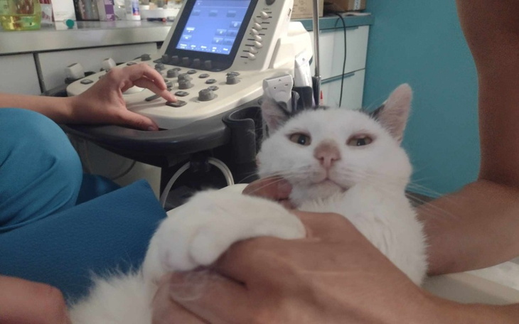 Zbiórka Bezdomny Fart z IBD JELIT nerk - zdjęcie główne