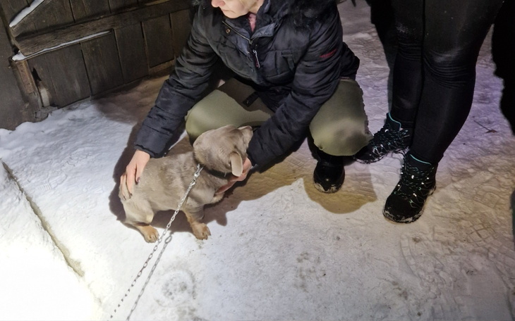 Piesek na śniegu, przytulany przez osobę w ciepłej kurtce.