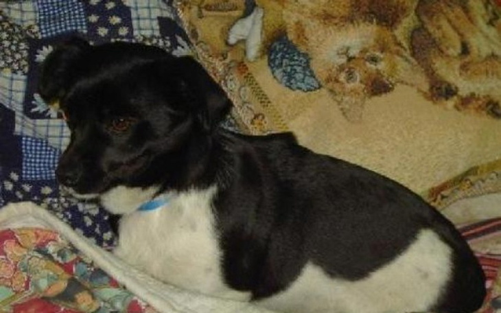 Zbiórka Remont po pożarze - zdjęcie główne