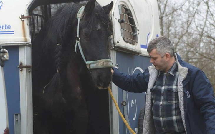 Mężczyzna prowadzący konia z przyczepy, w otoczeniu natury.