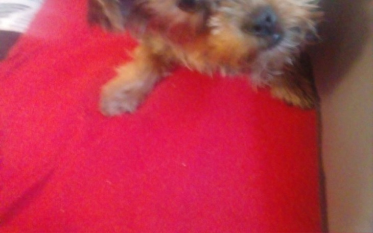 Zbiórka Mieszkanie dla dziecka - zdjęcie główne