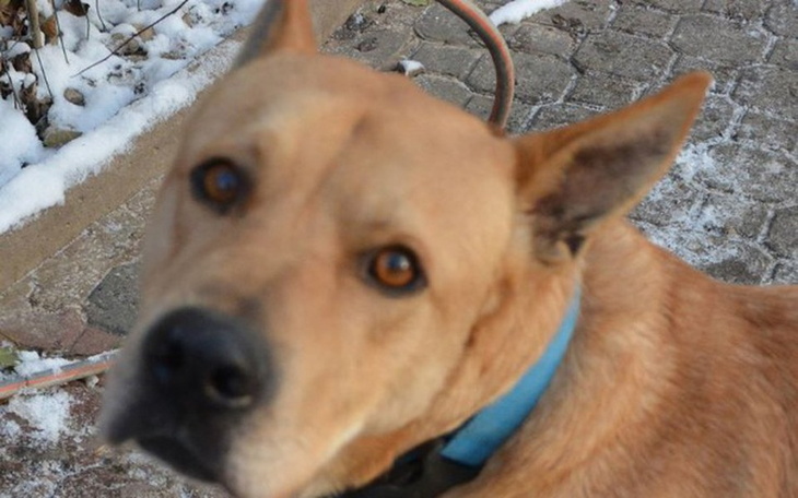 Zbiórka Aby brzuszki nie były puste - zdjęcie główne