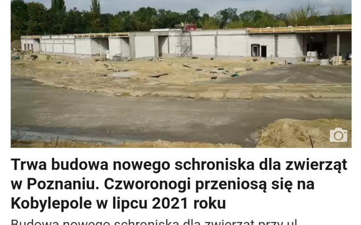 Zbiórka Pomoc dla schroniska po sąsiedzk - zdjęcie główne