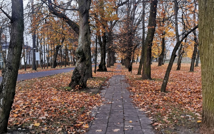 Zbiórka Blagam o pomoc, nie mam za cozyc - zdjęcie główne