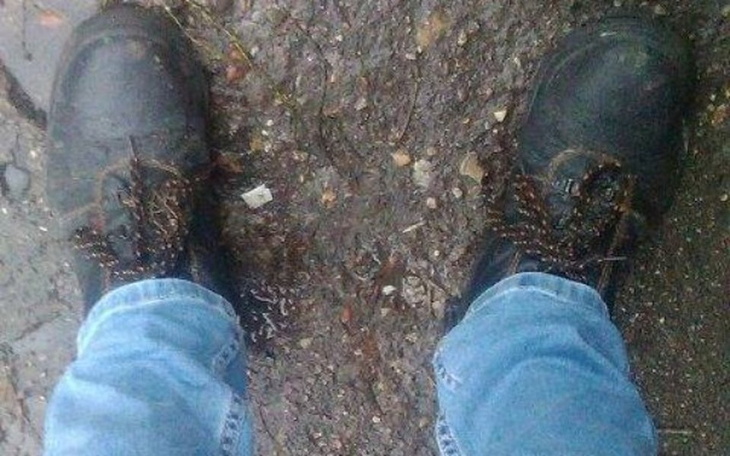 Zbiórka Zbieram na nowe buty. - zdjęcie główne