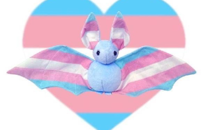 Pluszowy nietoperz w kolorach tęczy na tle serca.