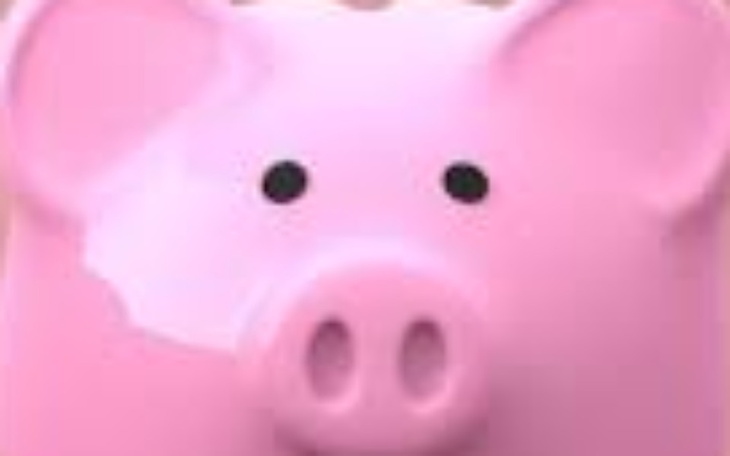 Zbiórka Piękna domowa świnka - zdjęcie główne