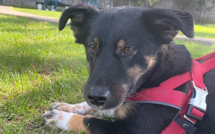 Zbiórka Przyszłość i marzenia - zdjęcie główne