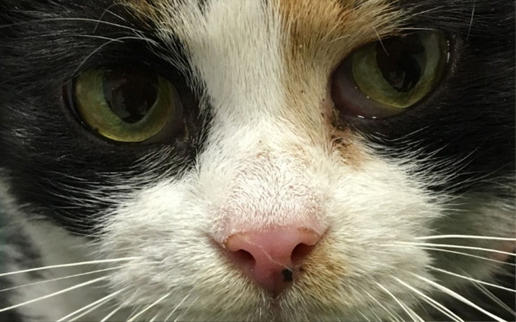 Zbiórka Ona i jej stado. Jej stado i ona - zdjęcie główne