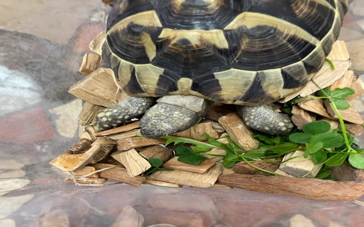 Zbiórka jedzenie chce 25 ale sie nie da - zdjęcie główne