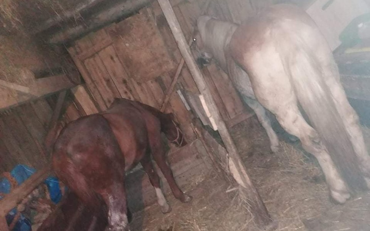 Zbiórka Saving Cisco and Chuck - zdjęcie główne