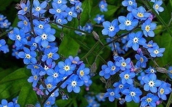 Zbiórka Moje naj. marzenia - zdjęcie główne