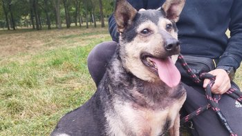 Zbiórka Wsparcie dla Iwanka - miniaturka zdjęcia