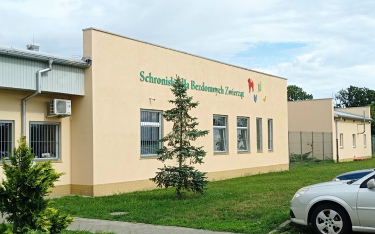 Budynek schroniska dla bezdomnych zwierząt w słoneczny dzień.