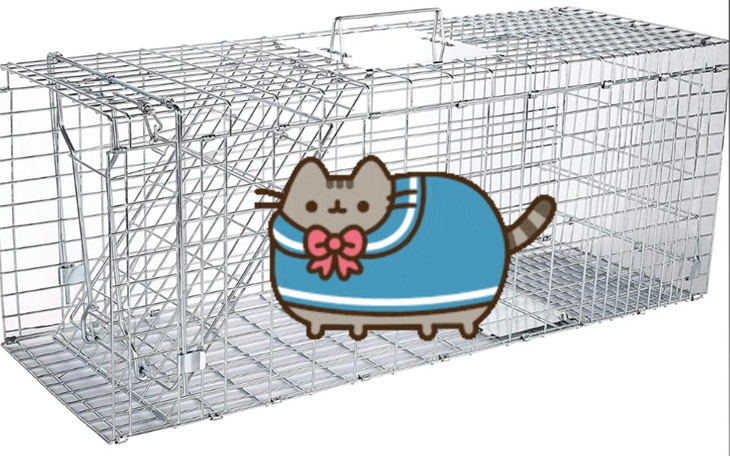 Klatka dla zwierząt z rysunkiem kota w niebieskim ubranku.
