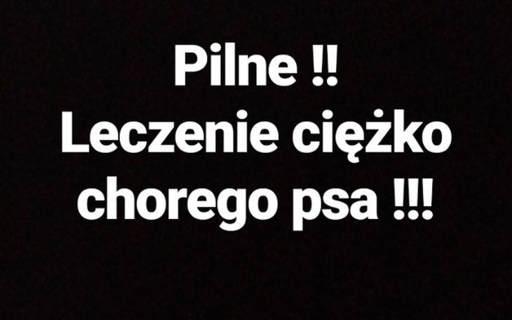 Zbiórka Dajmy mu szansę !! - zdjęcie główne