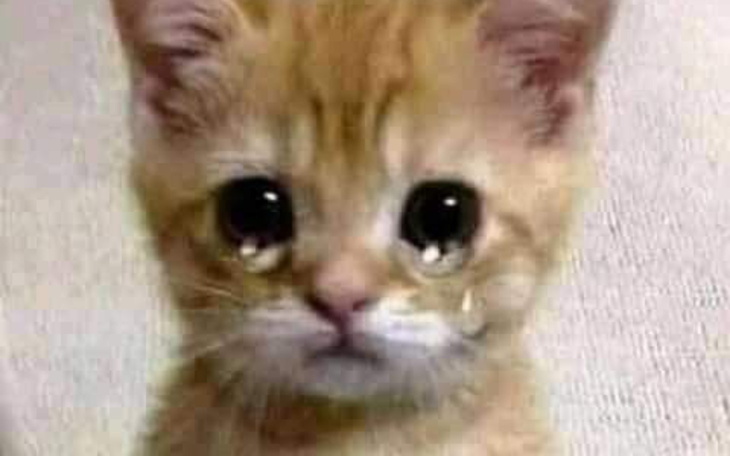 Smutny kotek z dużymi oczami i łzą na policzku.