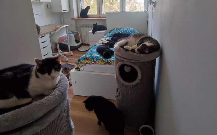 Zbiórka Na opłaty, by nasz dom działał.. - zdjęcie główne