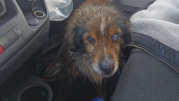 Zbiórka Spłata zaległej faktury - miniaturka zdjęcia