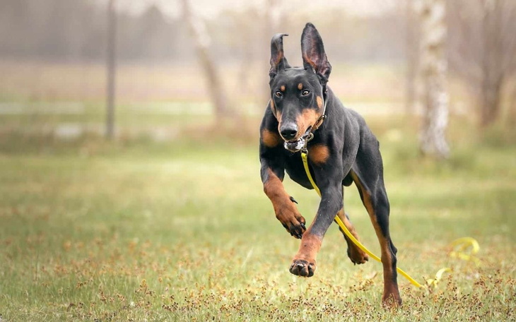 Zbiórka LUCKY wcale nie taki lucky... - zdjęcie główne