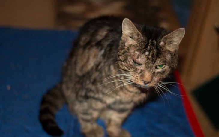 Zbiórka Uzbierać 10612,88 zł w 7 dni - zdjęcie główne